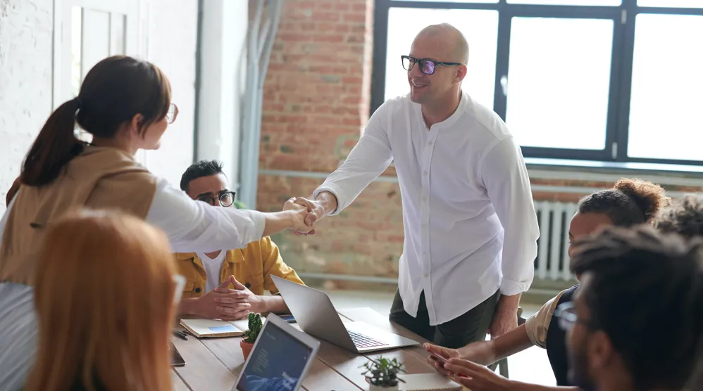 Domain consultation services