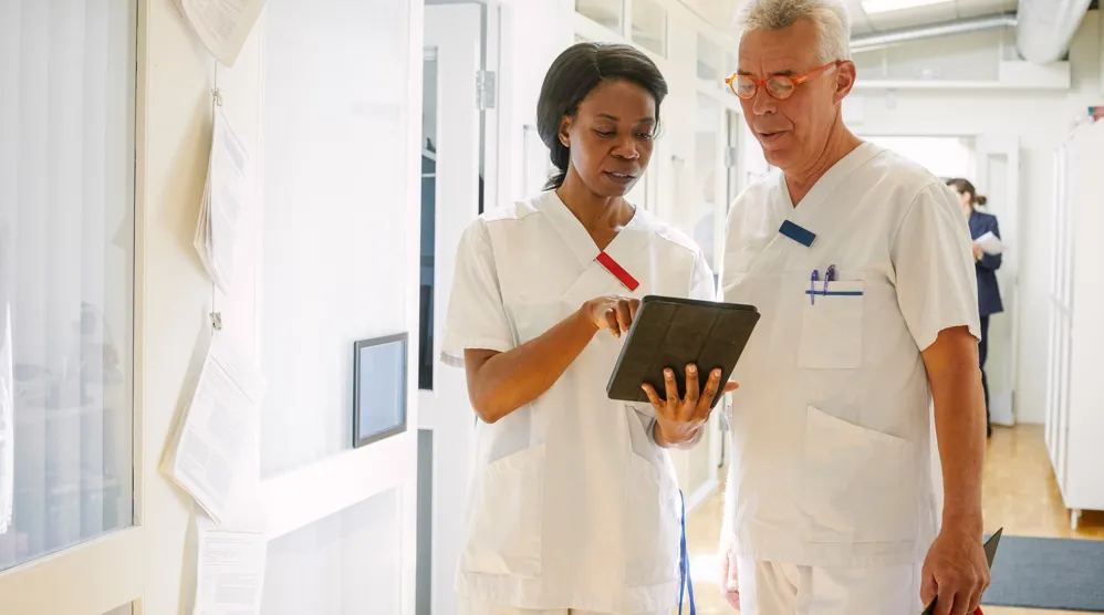 Property and Casualty Carriers